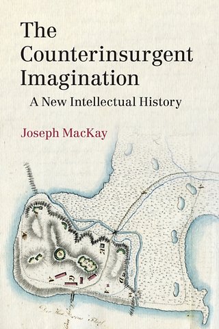 The Counterinsurgent Imagination