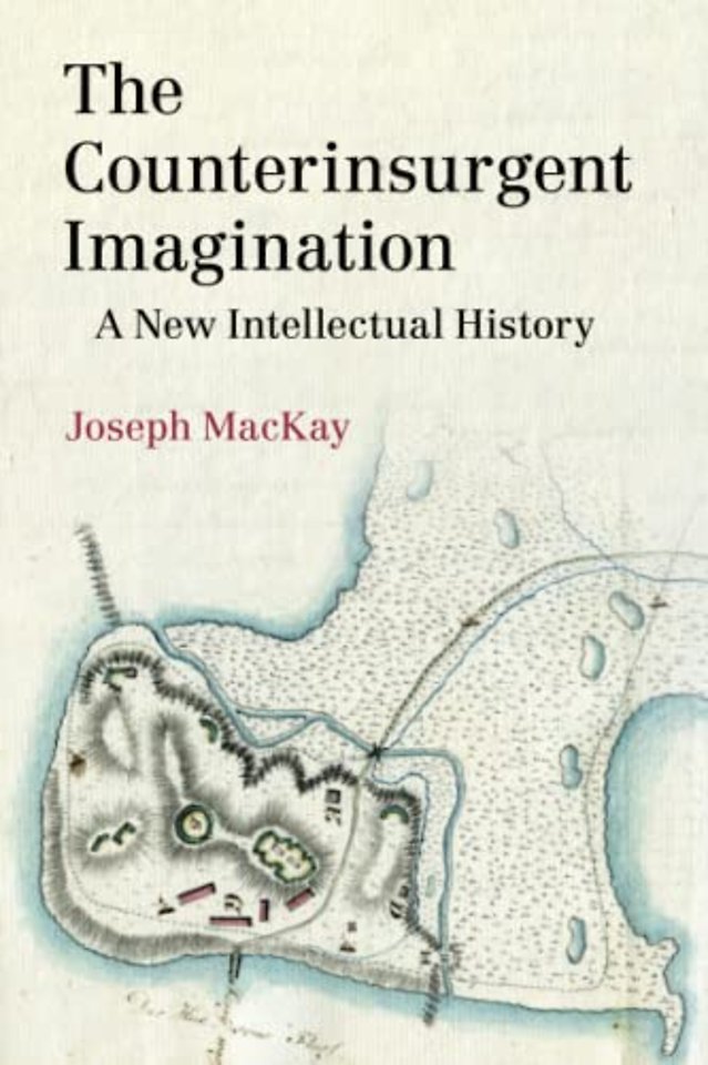 The Counterinsurgent Imagination