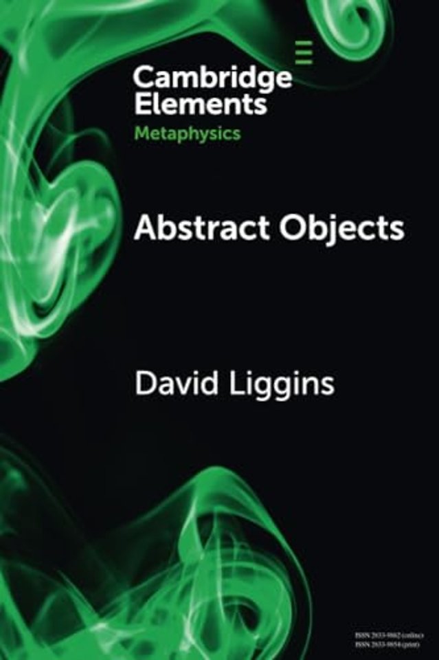 Abstract Objects