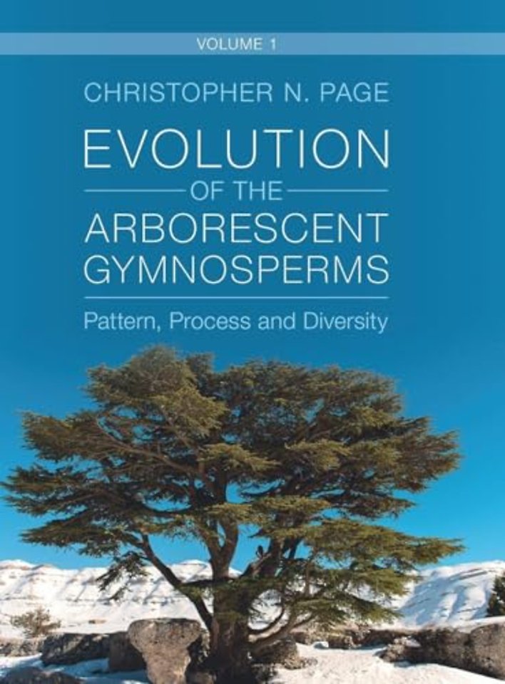 Evolution of the Arborescent Gymnosperms: Volume 1, Northern Hemisphere Focus