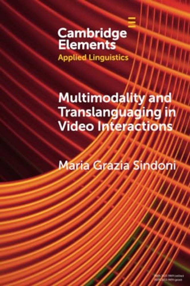 Multimodality and Translanguaging in Video Interactions