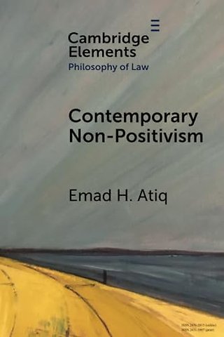 Contemporary Non-Positivism