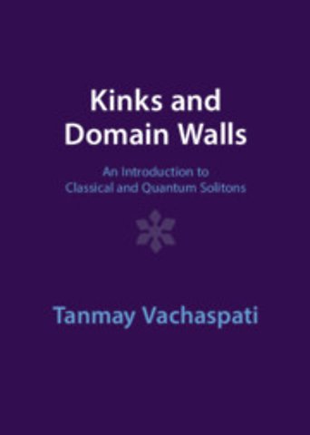 Kinks and Domain Walls