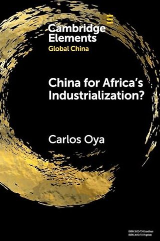 China for Africa's Industrialization?