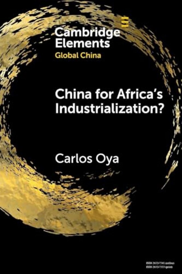 China for Africa's Industrialization?