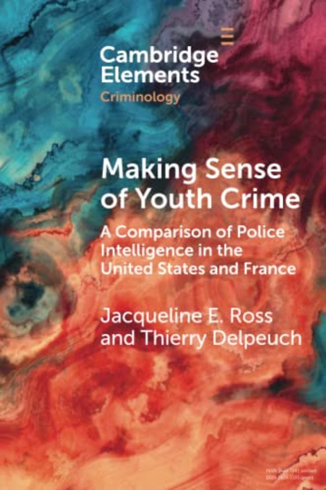 Making Sense of Youth Crime