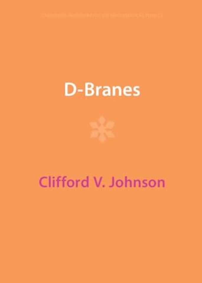 D-Branes