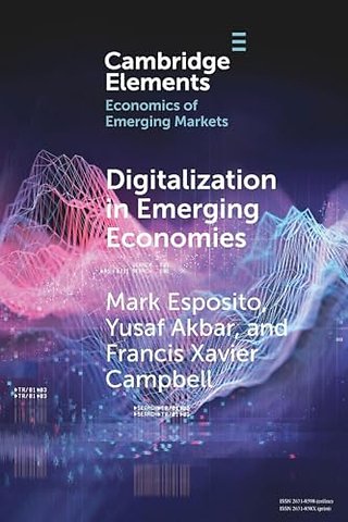Digitalization in Emerging Economies