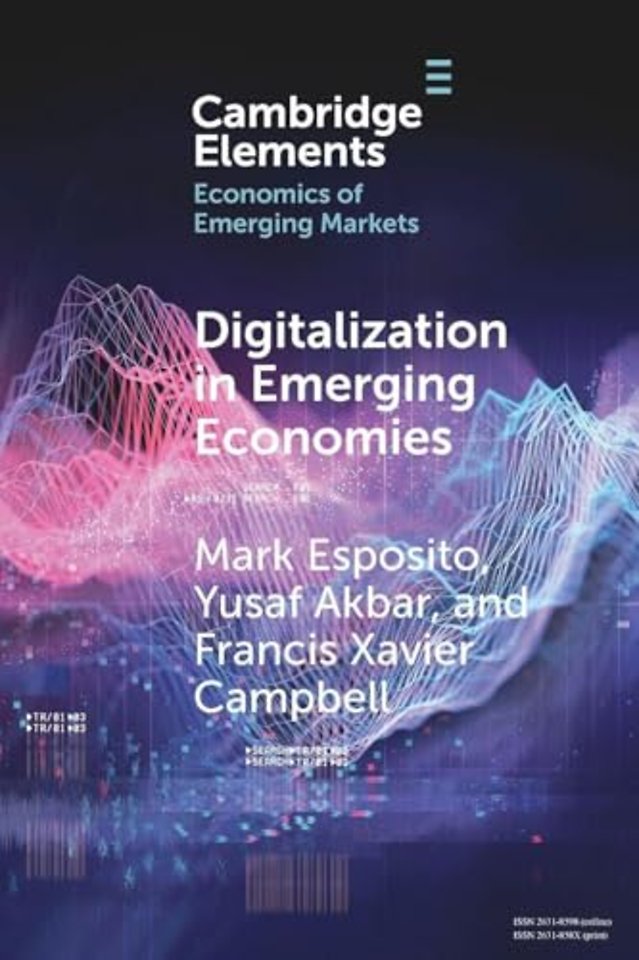 Digitalization in Emerging Economies