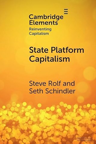 State Platform Capitalism