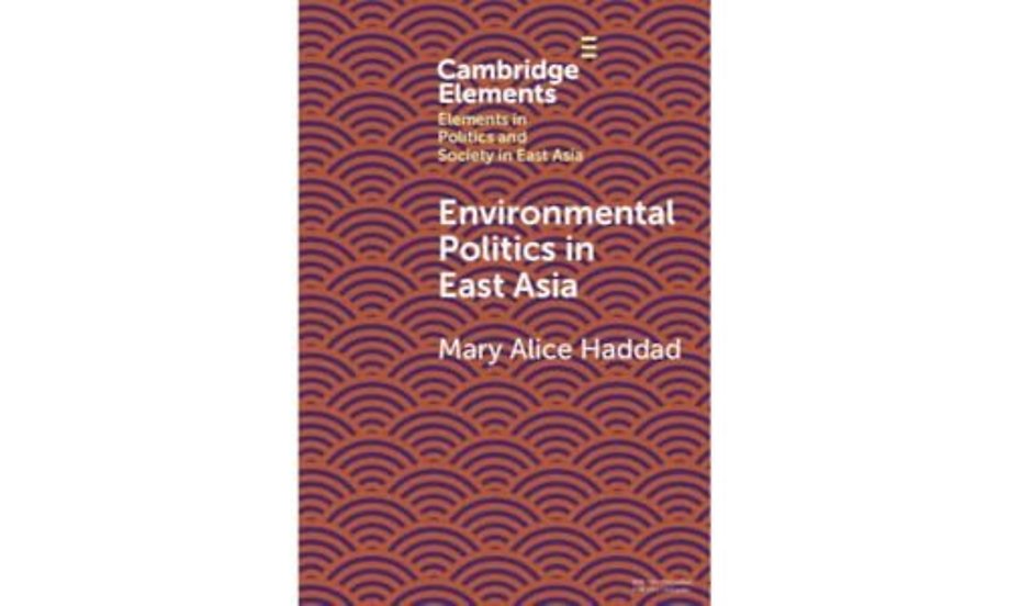 Environmental Politics in East Asia