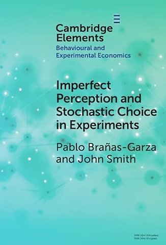 Imperfect Perception and Stochastic Choice in Experiments