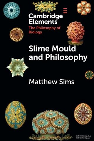 Slime Mould and Philosophy