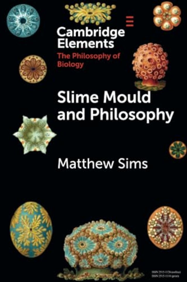 Slime Mould and Philosophy