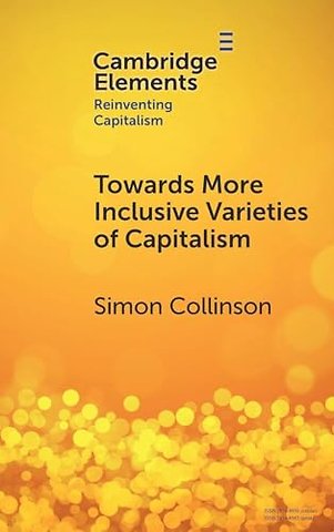 Towards More Inclusive Varieties of Capitalism