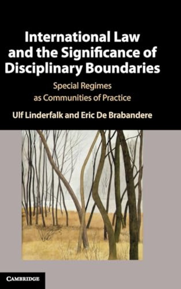 International Law and the Significance of Disciplinary Boundaries