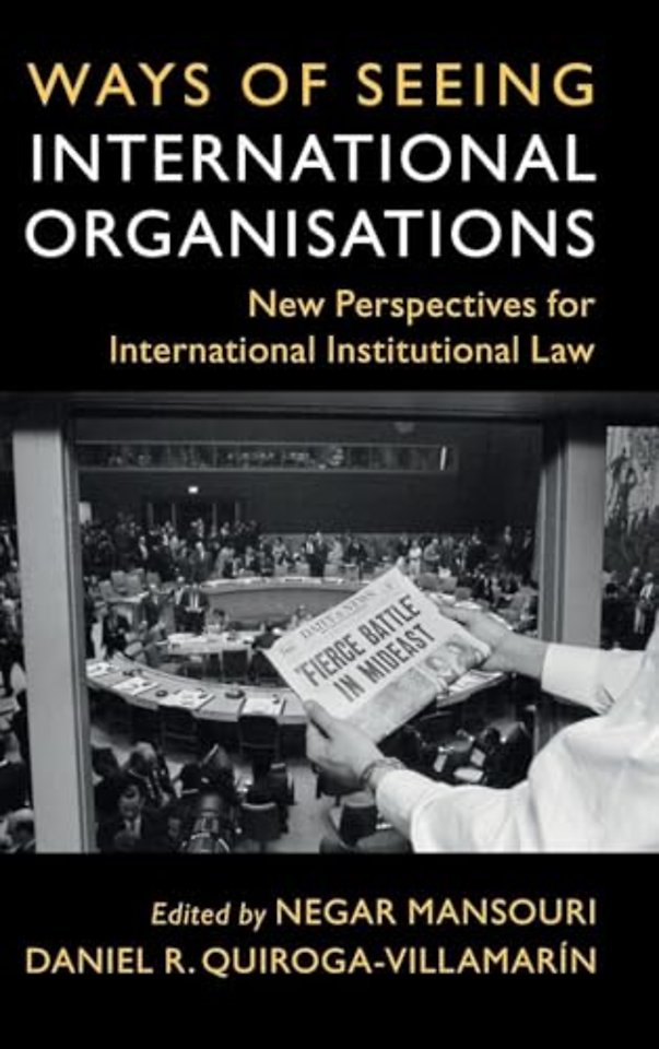 Ways of Seeing International Organisations