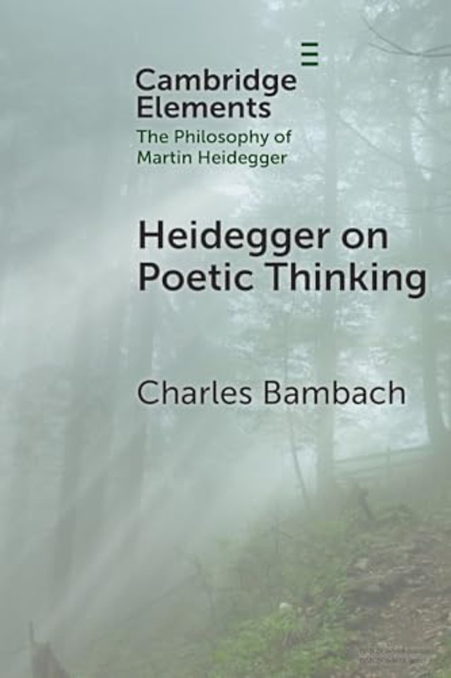 Heidegger on Poetic Thinking