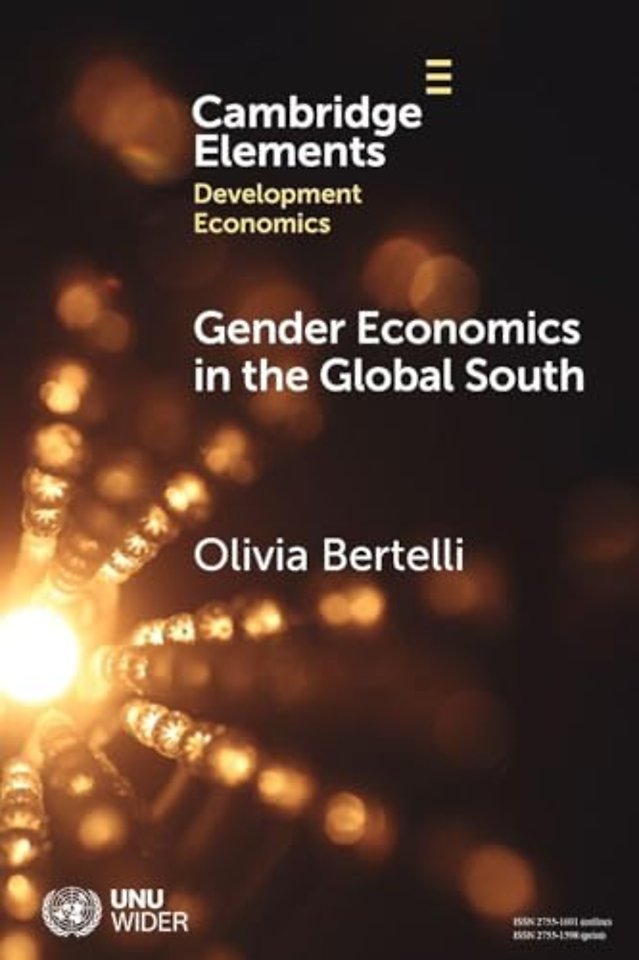 Gender Economics in the Global South