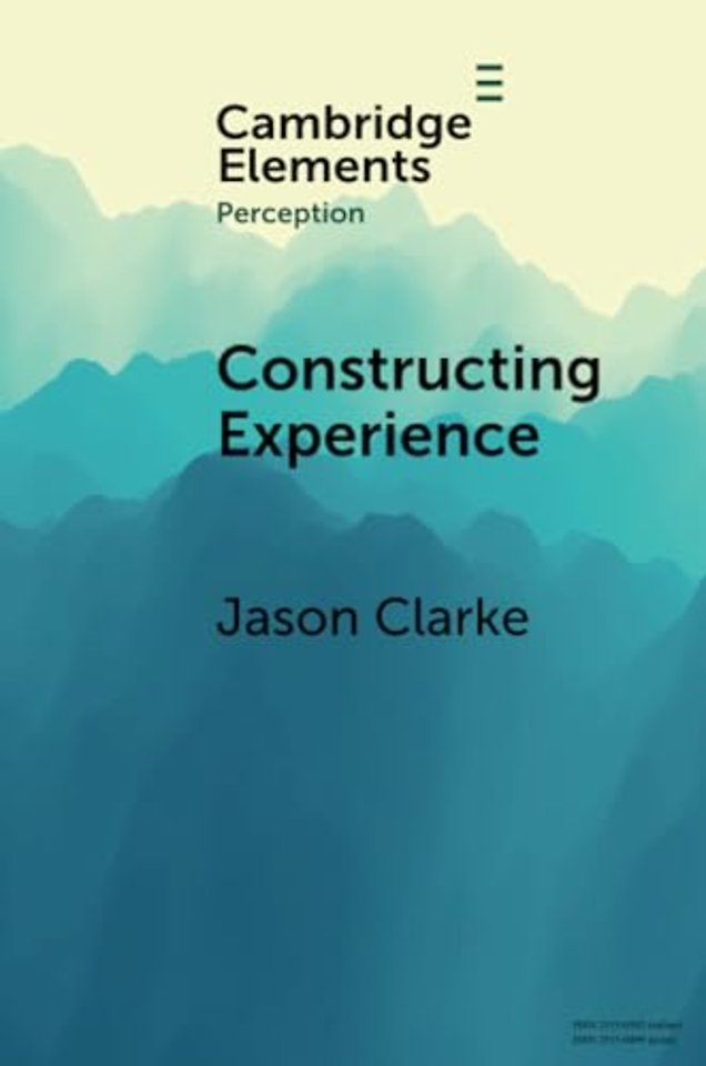 Constructing Experience