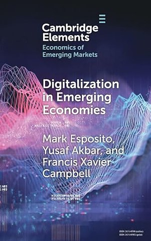 Digitalization in Emerging Economies