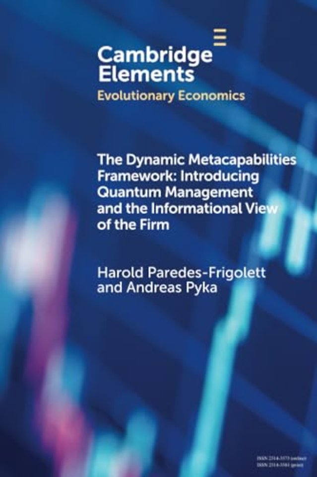 The Dynamic Metacapabilities Framework