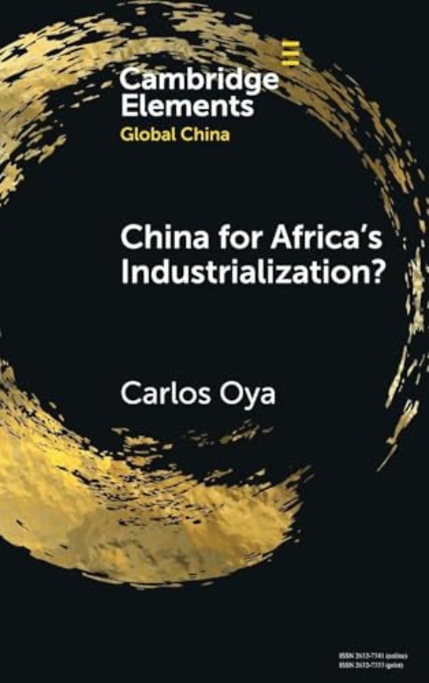 China for Africa's Industrialization?