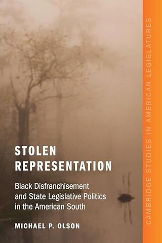 Stolen Representation