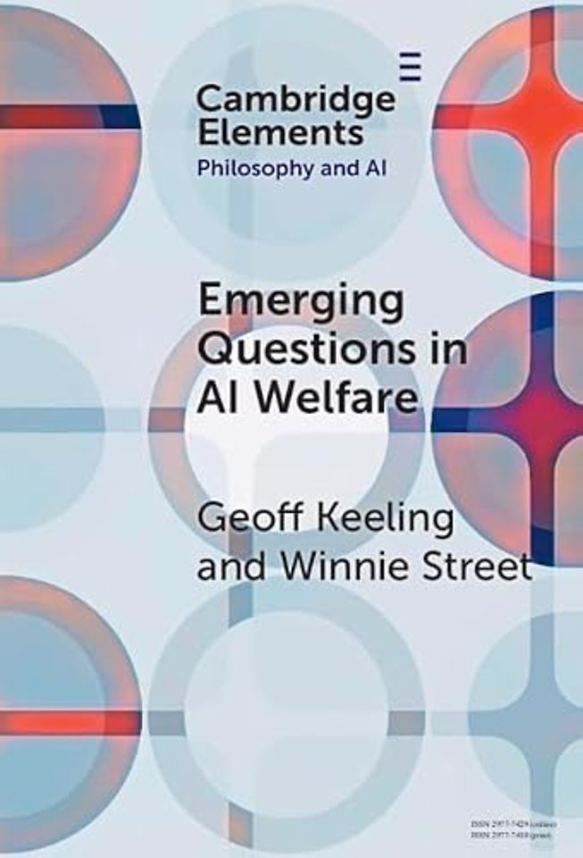 Emerging Questions in AI Welfare