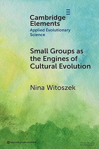 Small Groups as the Engines of Cultural Evolution