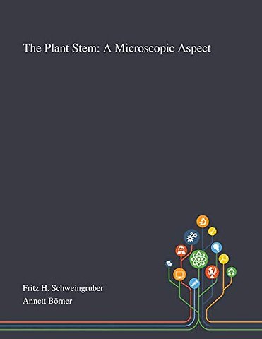 The Plant Stem