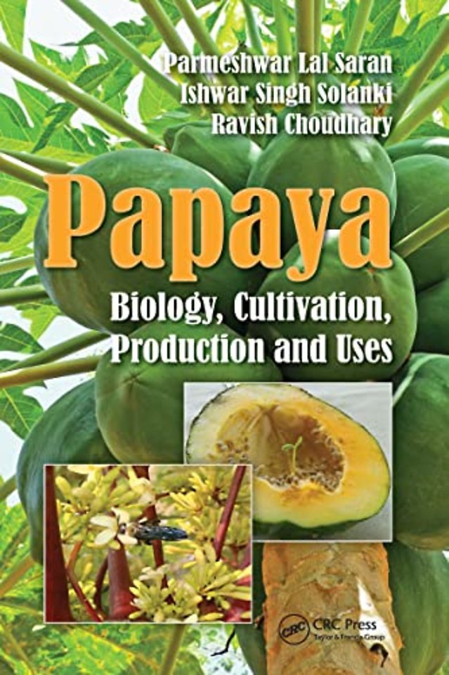 Papaya