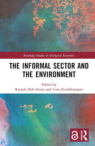Informal Sector and the Environment