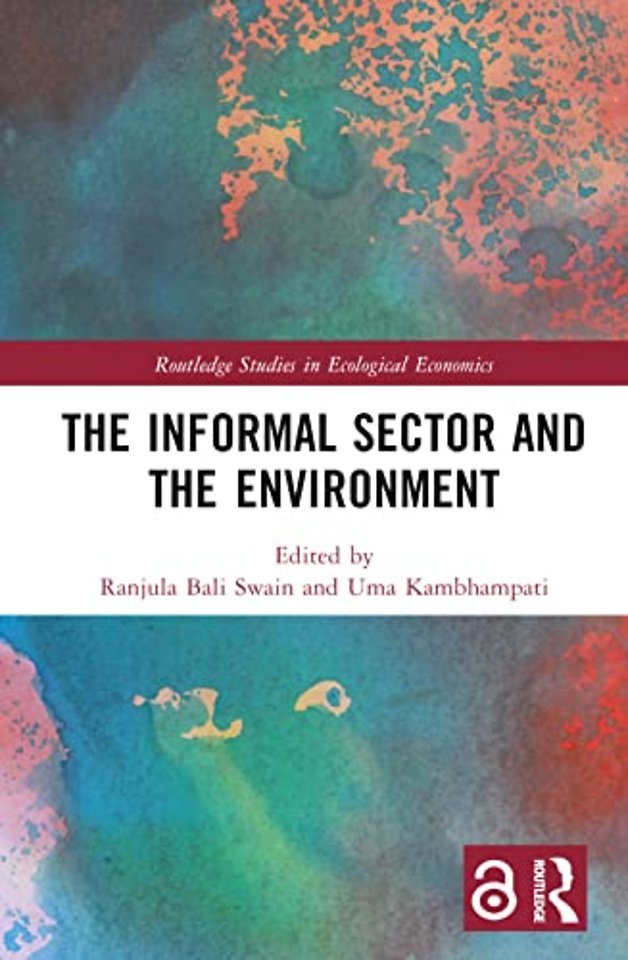 Informal Sector and the Environment