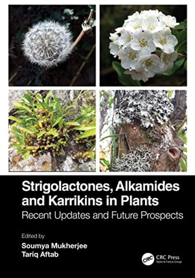 Strigolactones, Alkamides and Karrikins in Plants