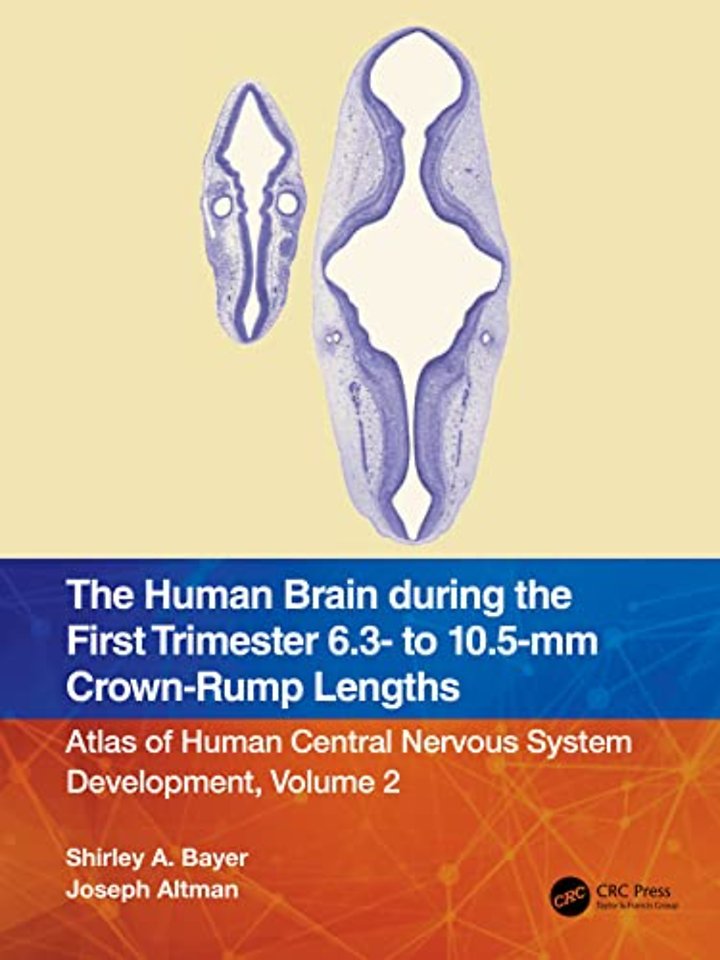 Human Brain during the First Trimester 6.3- to 10.5-mm Crown-Rump Lengths