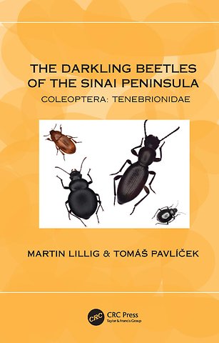 Darkling Beetles of the Sinai Peninsula