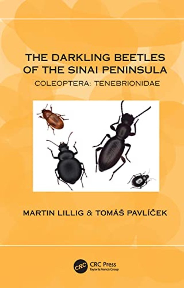 Darkling Beetles of the Sinai Peninsula