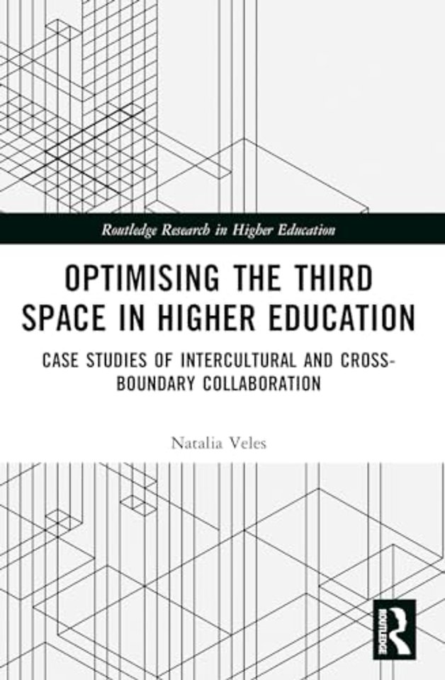 Optimising the Third Space in Higher Education