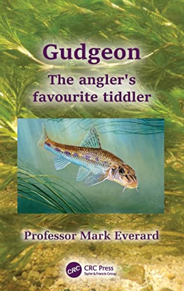 Gudgeon