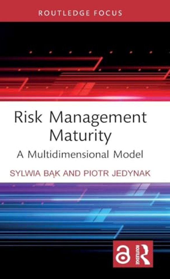 Risk Management Maturity