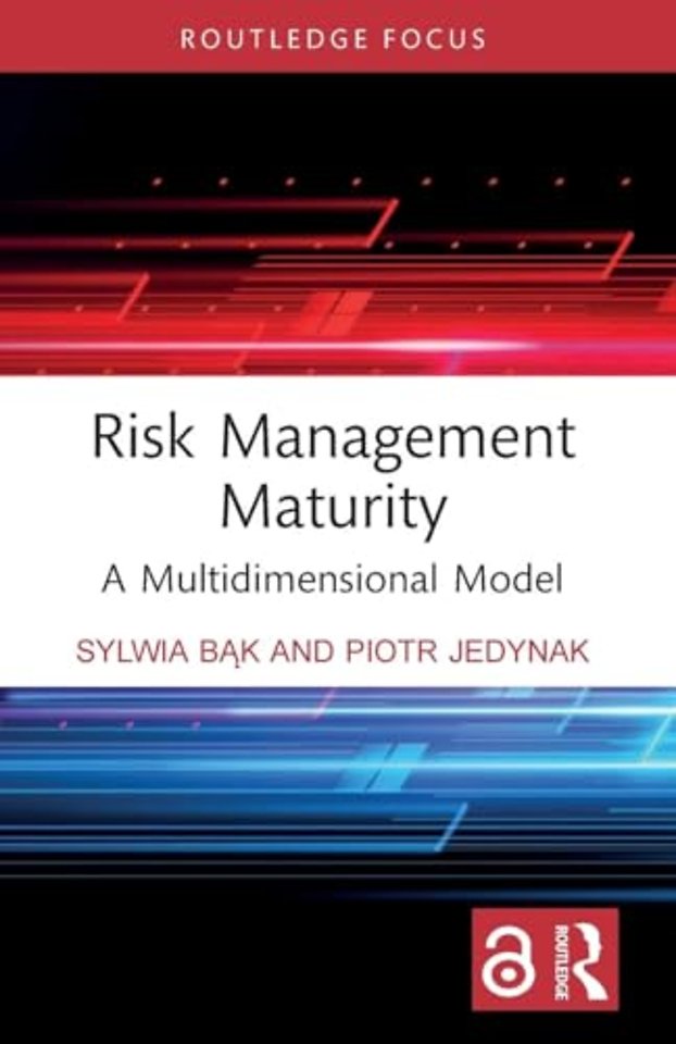 Risk Management Maturity