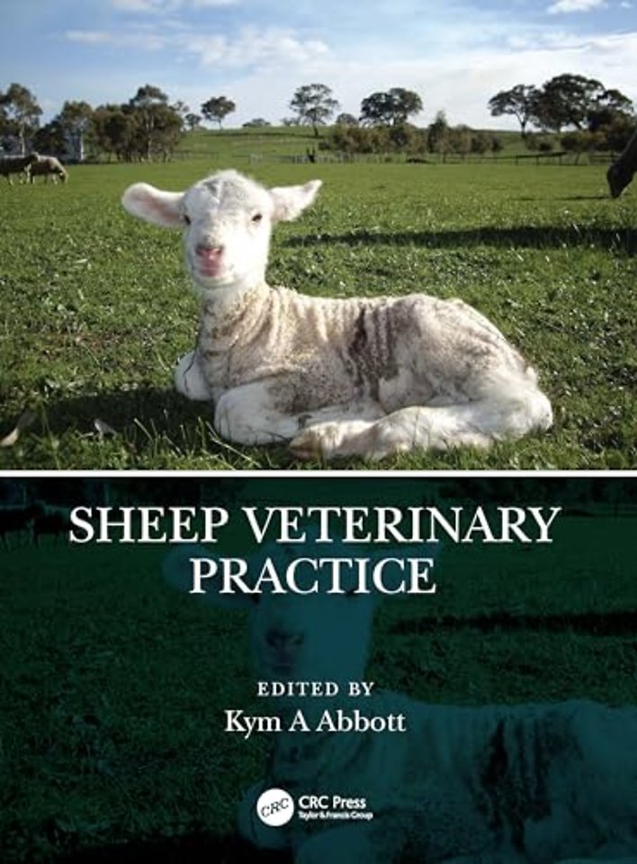 Sheep Veterinary Practice