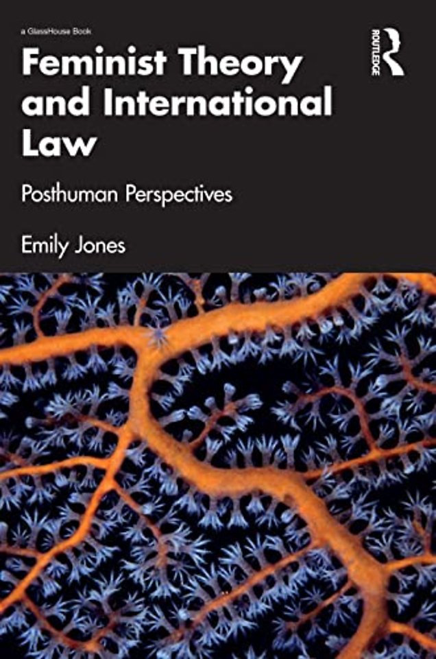 Feminist Theory and International Law