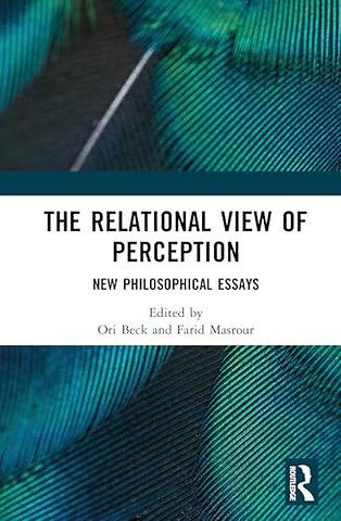 The Relational View of Perception