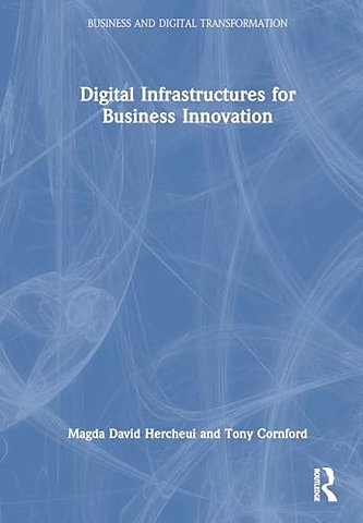 Digital Infrastructures for Business Innovation