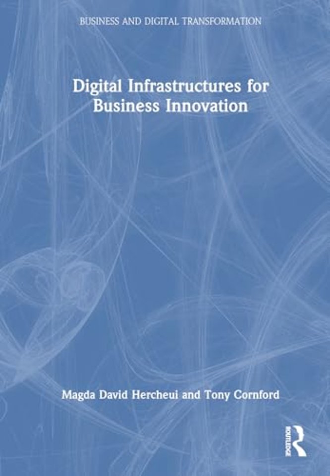 Digital Infrastructures for Business Innovation