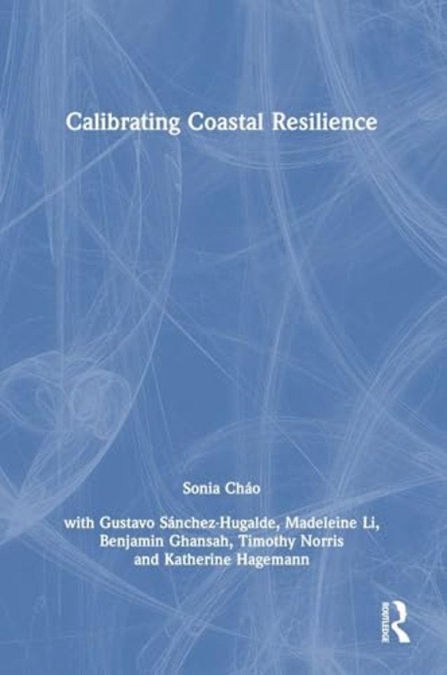 Calibrating Coastal Resilience