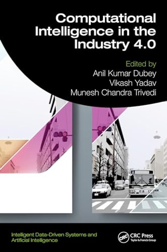 Computational Intelligence in the Industry 4.0