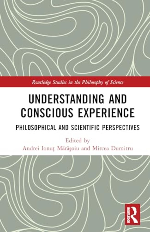 Understanding and Conscious Experience